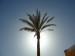 Palma.jpg